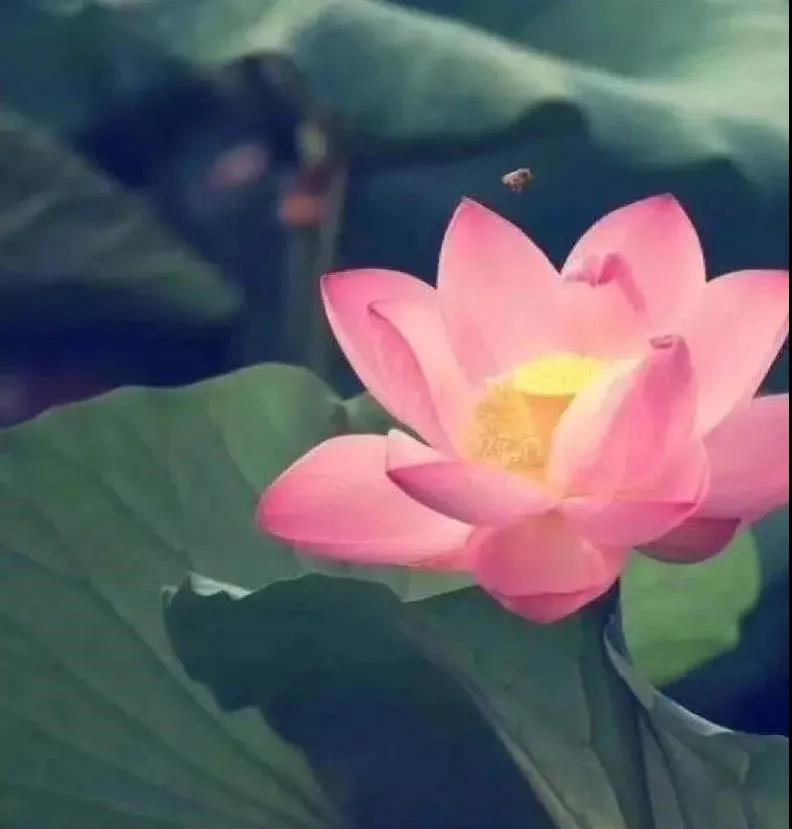 Ϊʲôһ��Ҫ��𣿿�ӡ���ʦ��ô˵