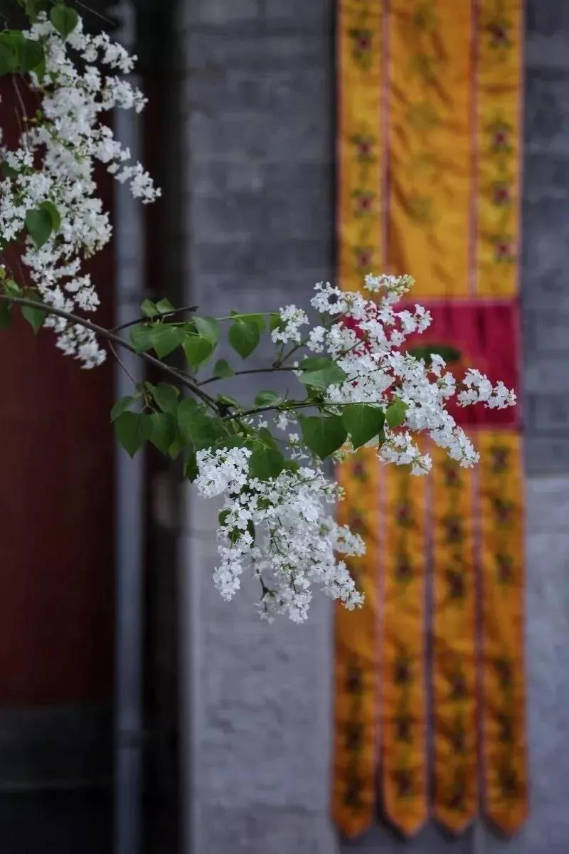 Ϊʲôһ��Ҫ��𣿿�ӡ���ʦ��ô˵