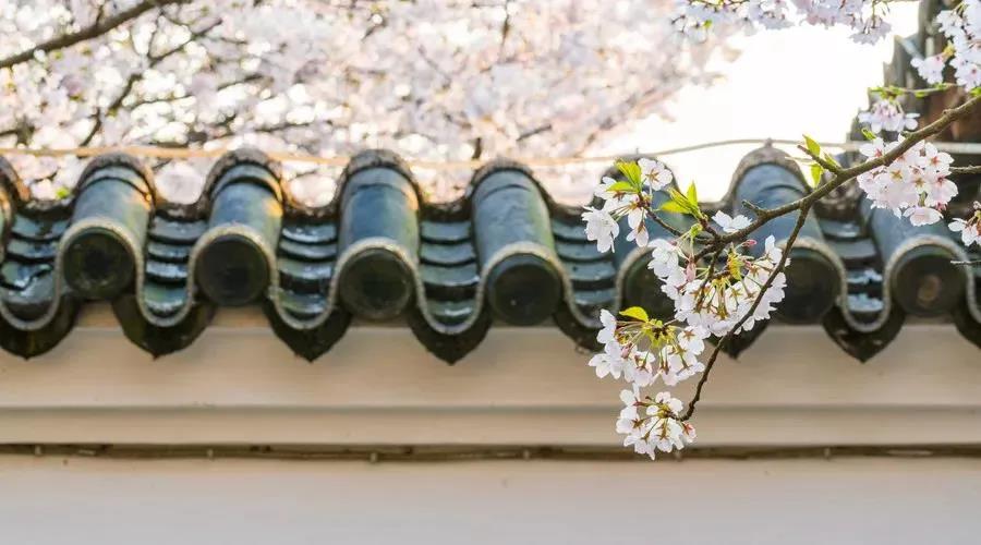 Ϊʲôһ��Ҫ��𣿿�ӡ���ʦ��ô˵