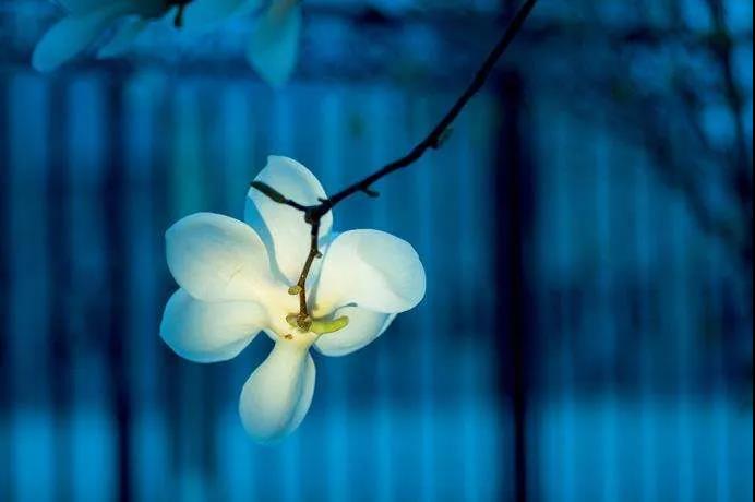 ĩ��ʱ�����һ��Ҫ־������