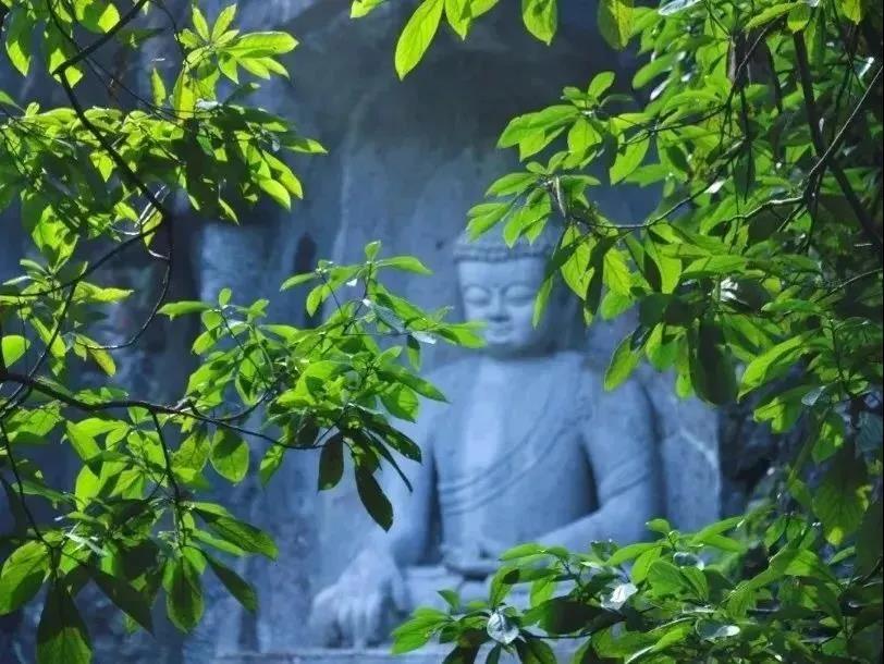 ӡ�ⷨʦ���ĳ治�������ڱ��ߣ����ܲ��������ں���