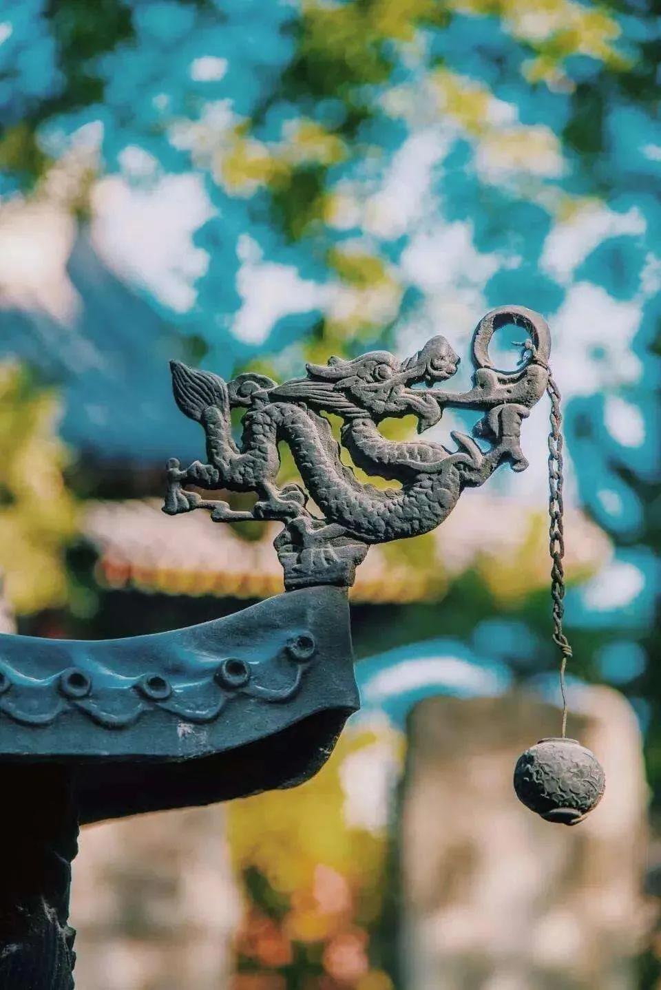 ���������ģ���֦������_�������ó��ϣ����б�������õķ����