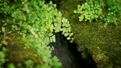 释迦牟尼佛揭示了我们流转轮回最关键的原因 释迦牟尼佛揭示了我们流转轮回最关键的原因