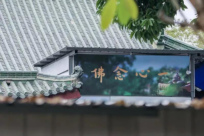 ���Ϊ�η���Խ��Խ�ࣿҪ���ž�������ʵ���