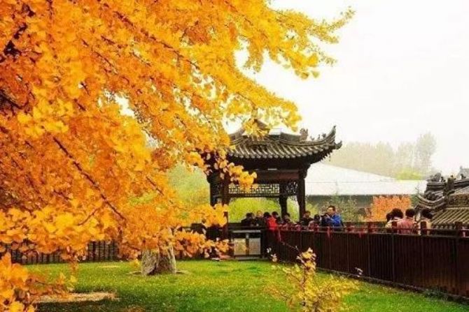 һ�ж�����õİ��ţ��ж�������������һ��