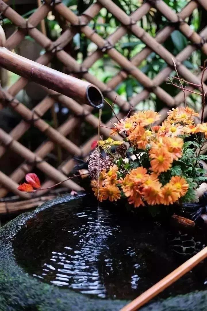 һ�ж�����õİ��ţ��ж�������������һ��