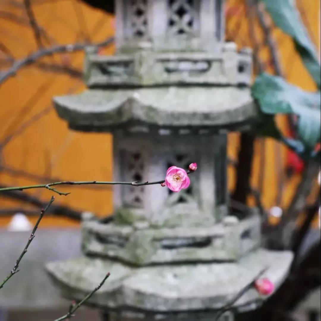 �ӷ���ת��Ϊʥ�ˣ�����Ҫ���ϵؾ����Լ�