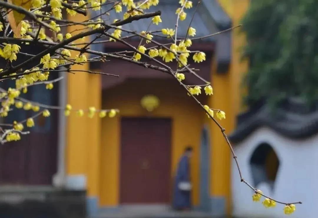 �ں쳾�����У����ƽ�������������