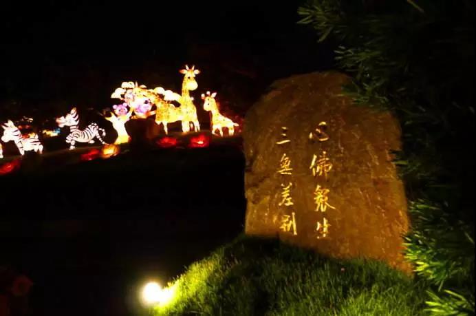 д������ʶ��̵����ѿ�һ���������Ķ��ꡭ��