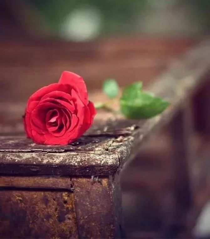 ���鲻�أ�������š����ڼҷ����Ӧ�����ԣ�