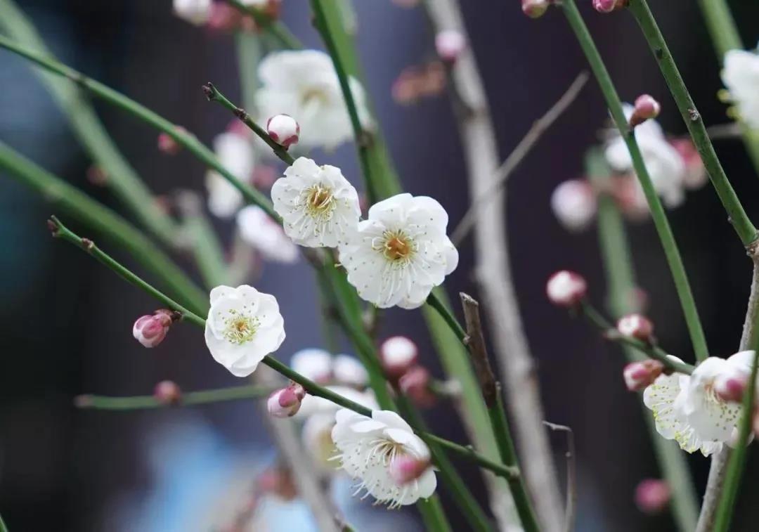 ���鲻�أ�������š����ڼҷ����Ӧ�����ԣ�