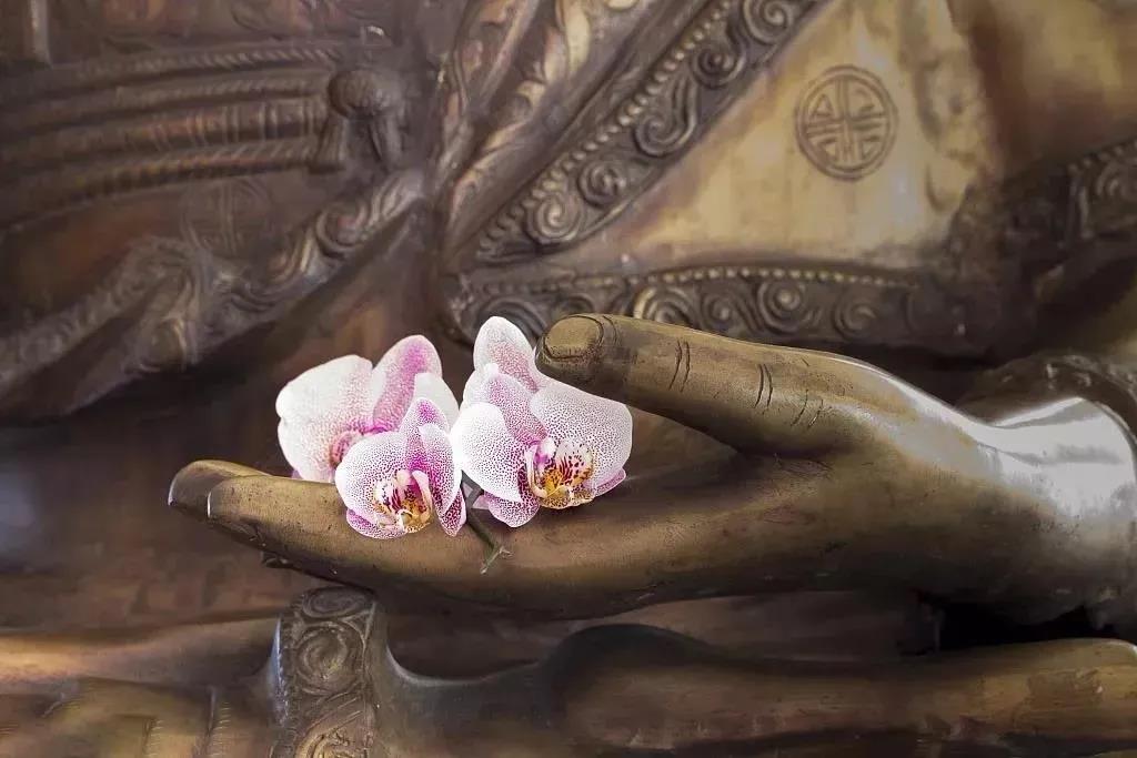 ���鲻�أ�������š����ڼҷ����Ӧ�����ԣ�