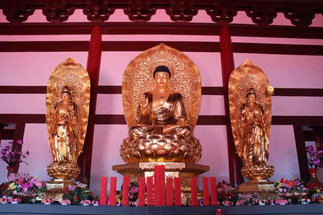 ��ʿ��ΰ���һ���������������뵽�ճ������