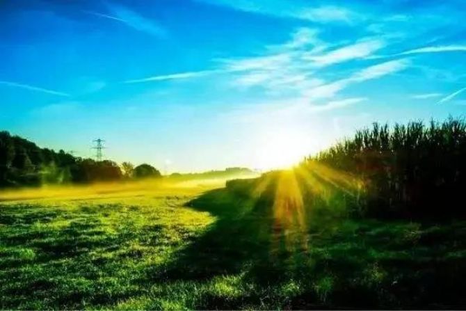 ���ﲻ�������ݣ��Եس����ǻۻ�