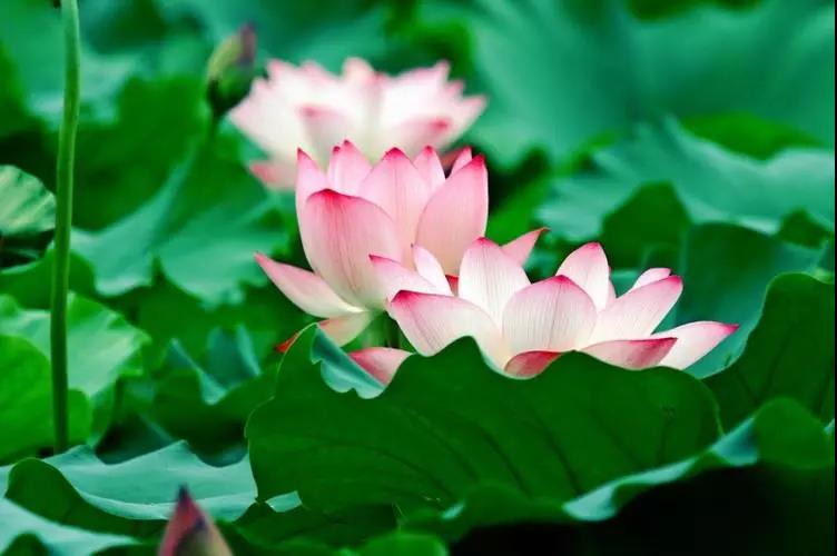 ���ԣ��������д������������