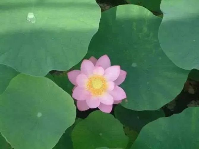 Ϊ������ƽʱ������к�Ŭ����������ȴ�Է�ŷ��У�