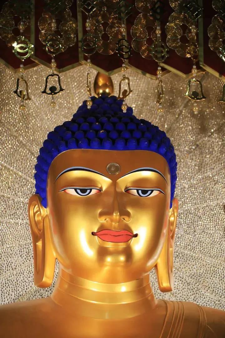 ������_|_��ʤ�����գ������嫣�����ͬ�죡