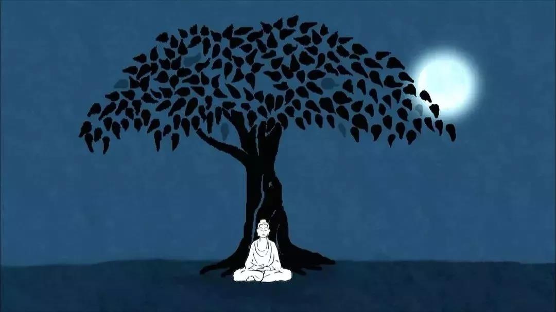 ���ǵ�������������֮��