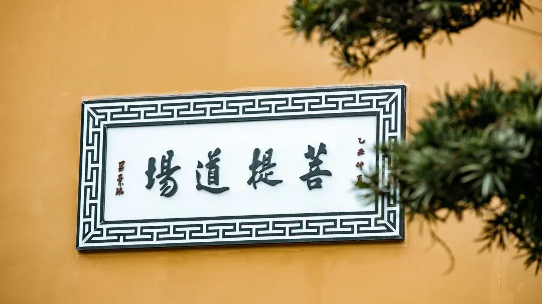 ����ӳ�����������ģ����տ����Լ������ļ��֣�