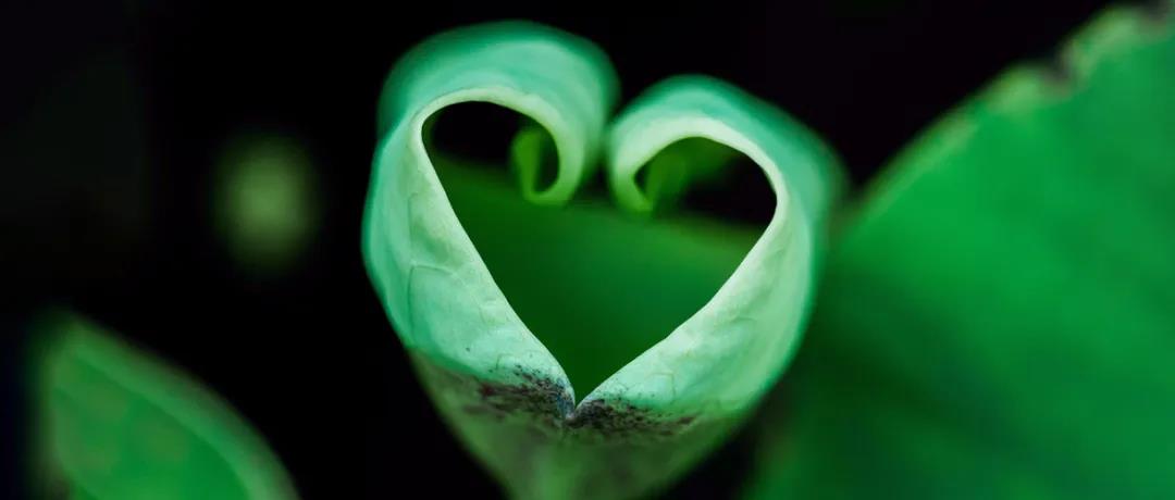 ����ӳ�����������ģ����տ����Լ������ļ��֣�