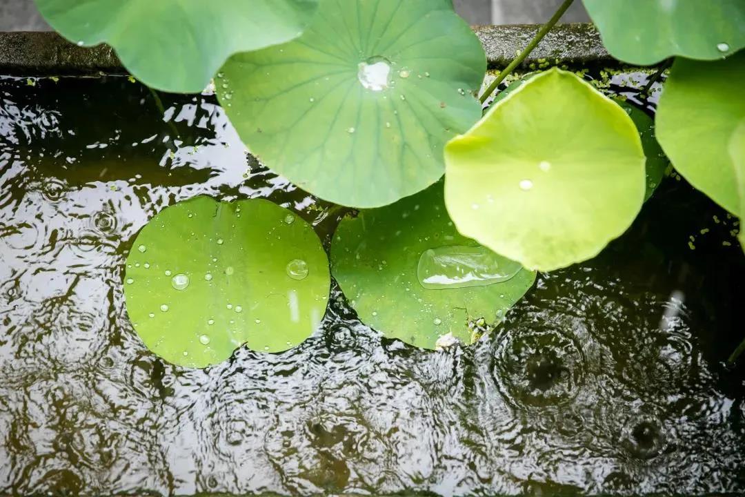 ����ӳ�����������ģ����տ����Լ������ļ��֣�