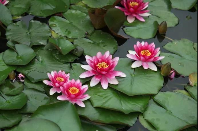 ѧ������ʮ��ҵ��ʲô��ʮ��ҵ��