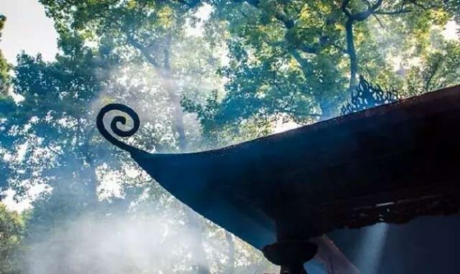 ÿ��ѧ���˶�Ҫ��������ʡ��ʡ�