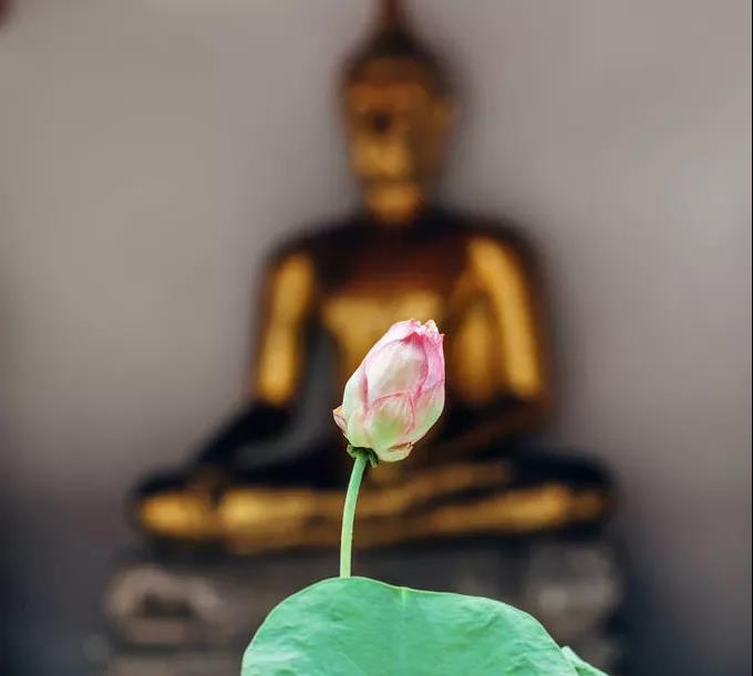 修福报与修道,到底有何差别? 修福报与修道,到底有何差别?