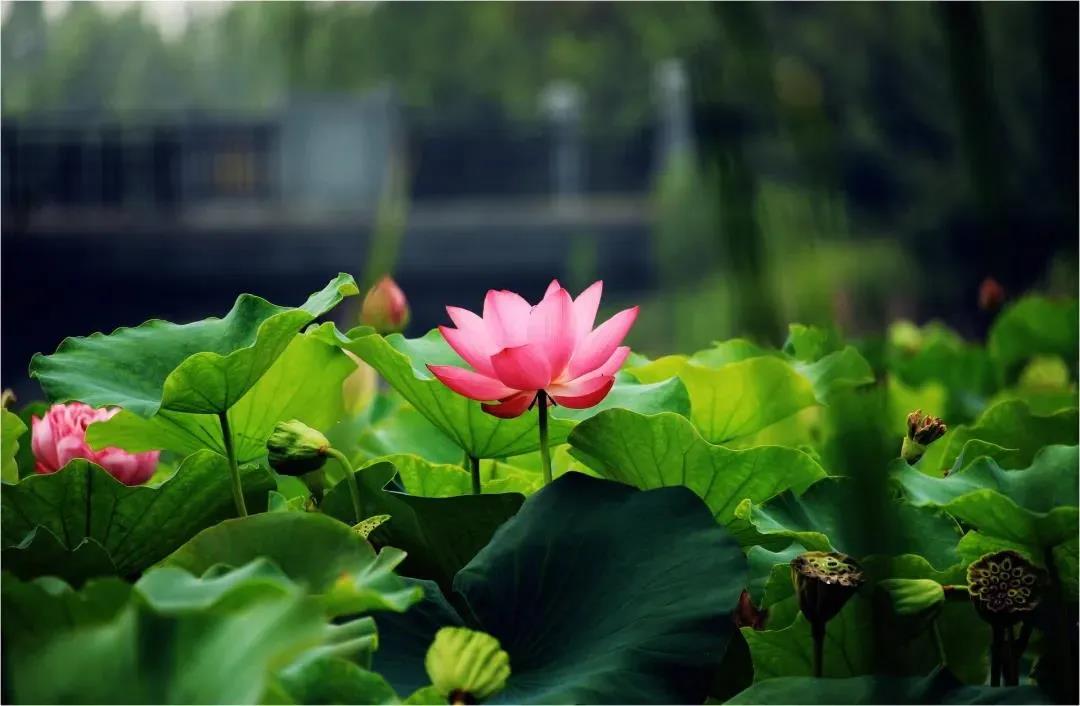 ƽ����ϰ��������ʱ��Ӱ�����󣬲��ɲ�����