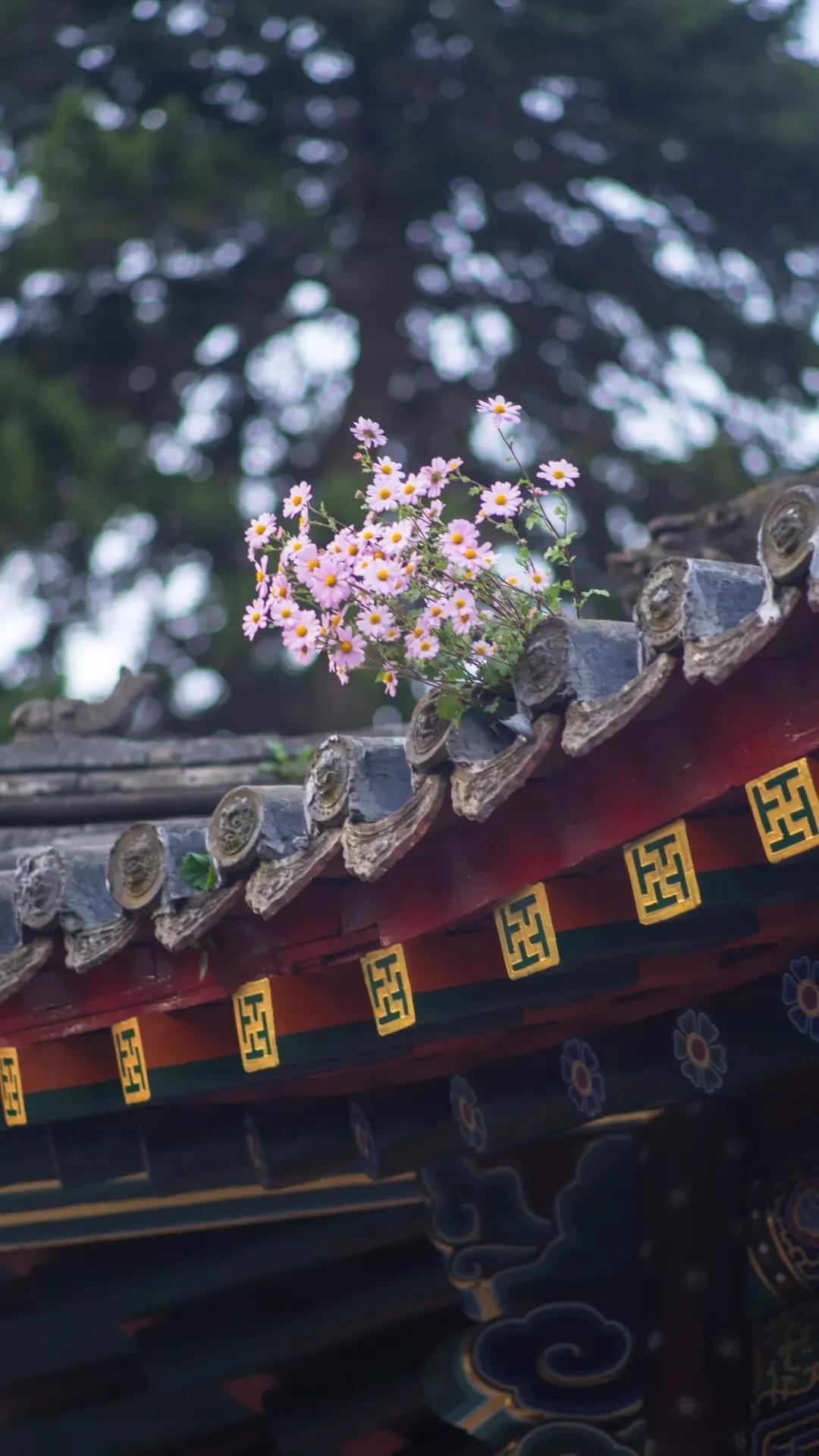 ��Դ��ʦ������