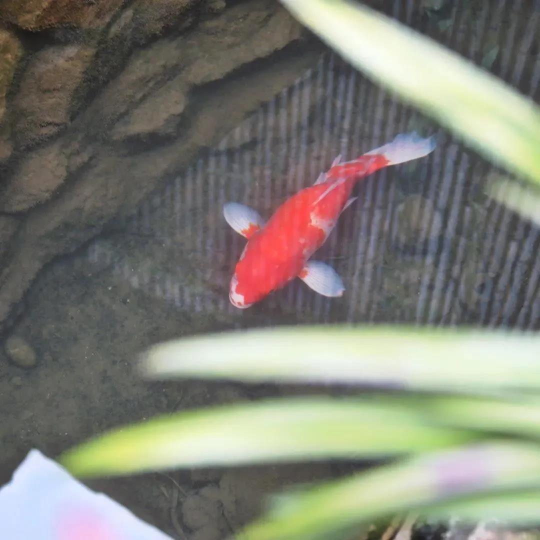 ���������ŷ���Щ���鲻Ҫ��