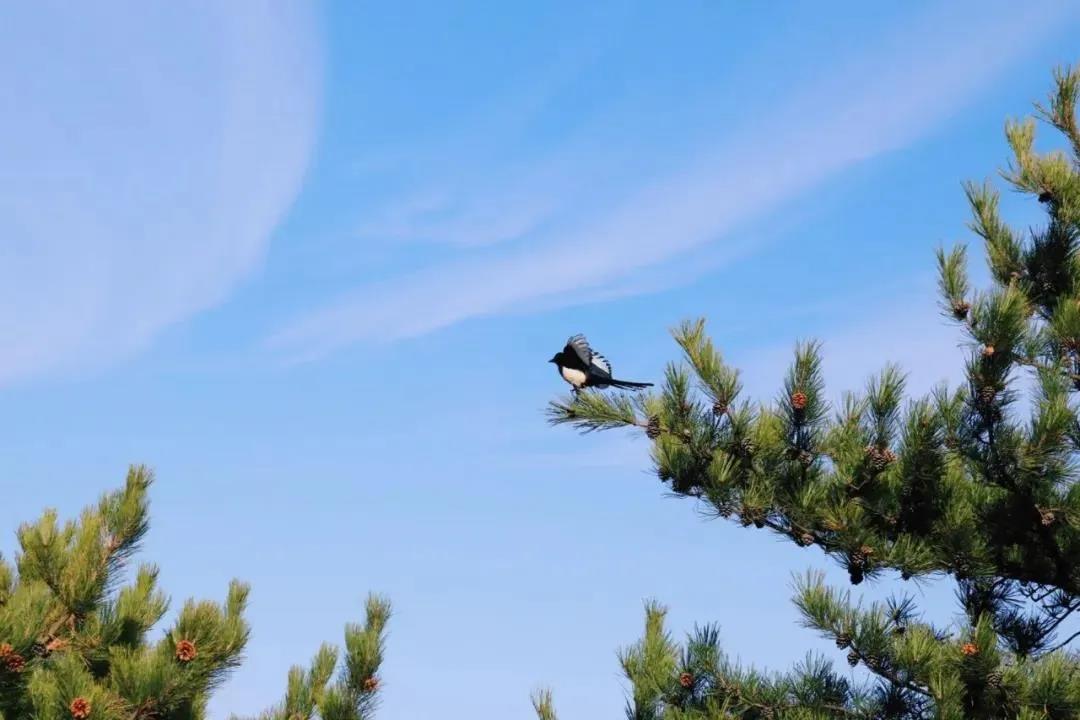 ���������ŷ���Щ���鲻Ҫ��