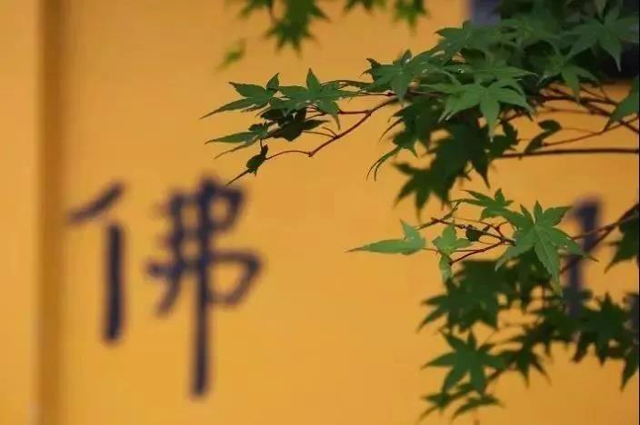 ���������ŷ���Щ���鲻Ҫ��