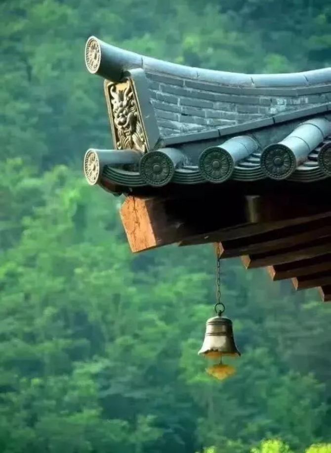 ���������ŷ���Щ���鲻Ҫ��