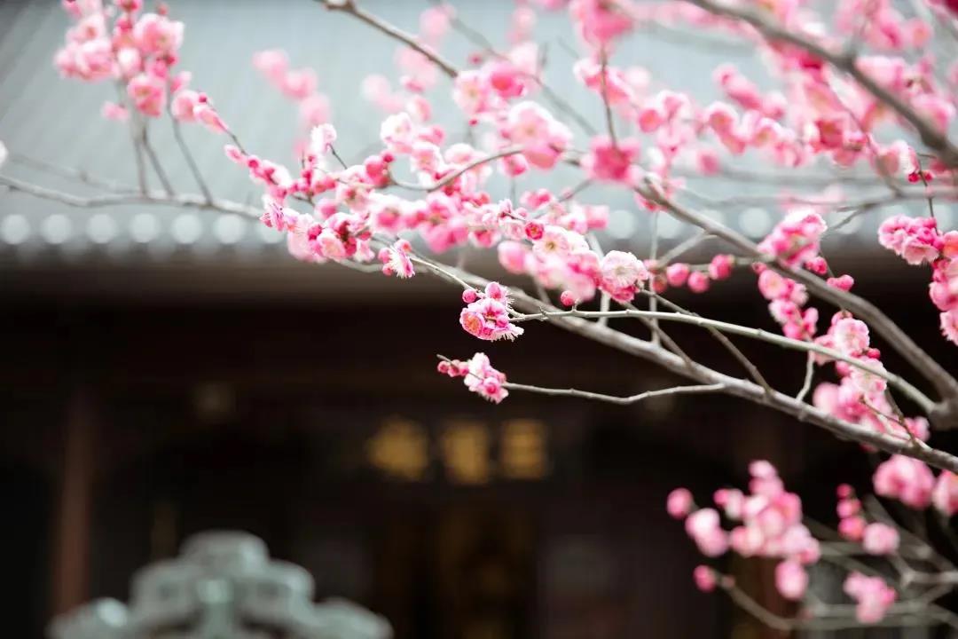 �˿���̰���ģ���������ϰ����