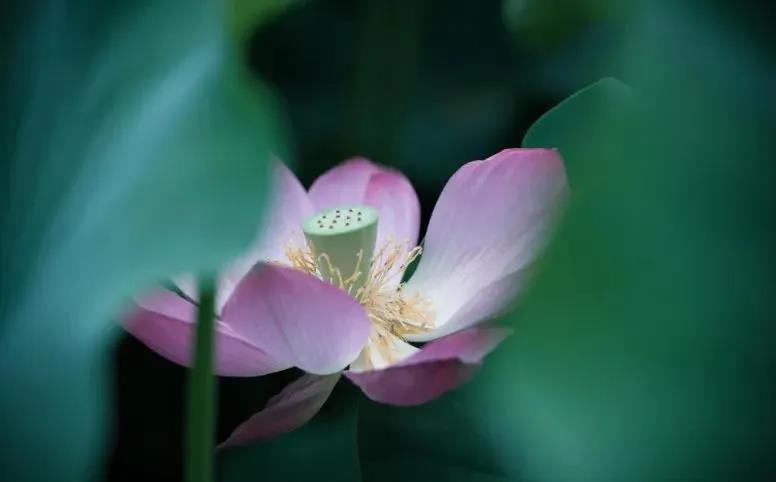 佛教的“神通”到底是怎么一回事? 佛教的“神通”到底是怎么一回事?