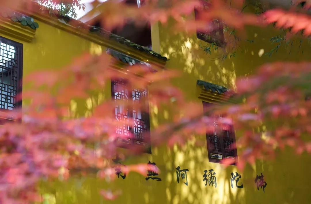 放心!别人的业障不会跑到你身上 放心!别人的业障不会跑到你身上