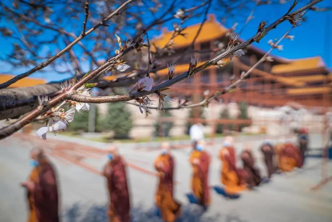 ��������������֮��������������ĩ��ʱ���������ķ���