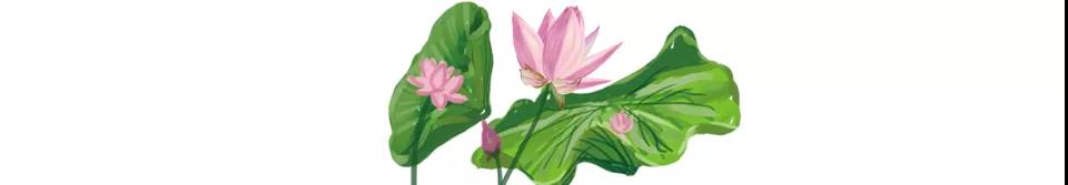 信仰就是别人做恶我们依然行善 信仰就是别人做恶我们依然行善