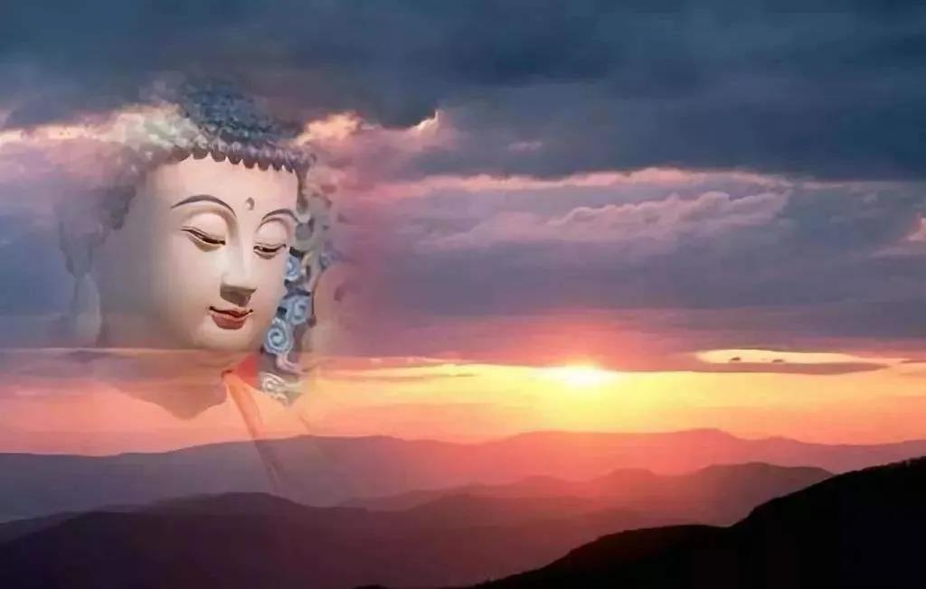 ���裬������������