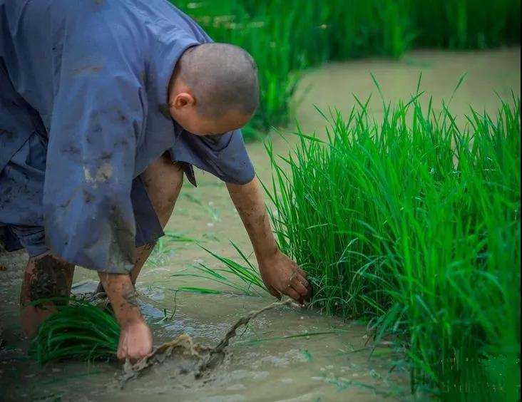 ��������������Ϊ�����ǻ�