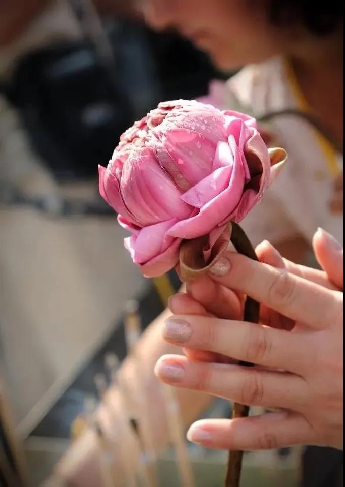 �����������˾Ϳ����ˣ�����Ҫѧ��