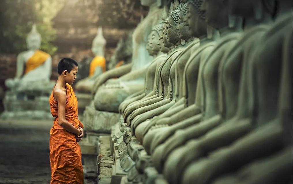 ��ã���˿��������𷨽�����Բ���������滮