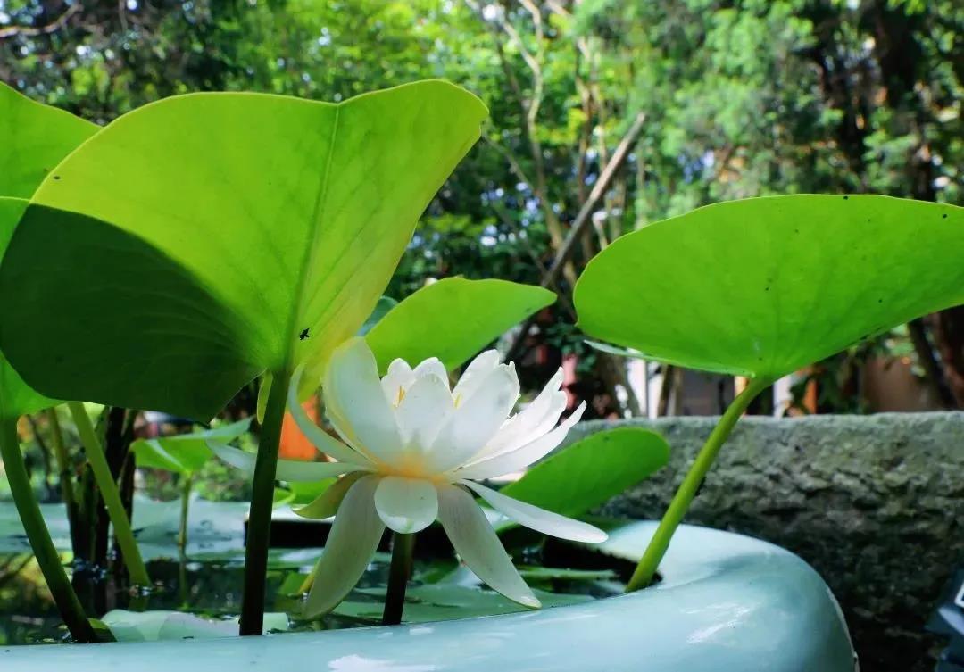 ��������ʱ����ס���������������