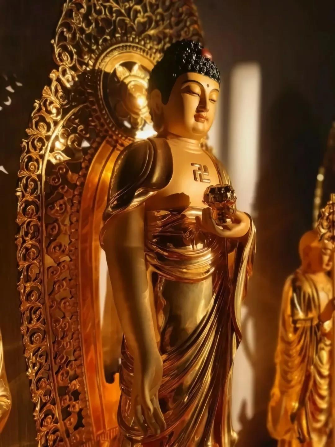 �˽Ⱒ���ӷ�֮ǰ�����˽�������ɫ