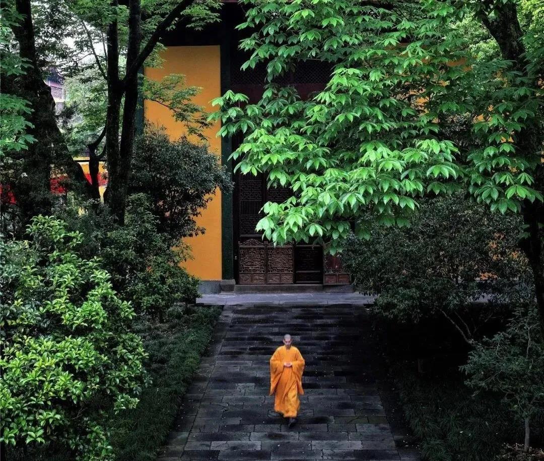 ħ����������������