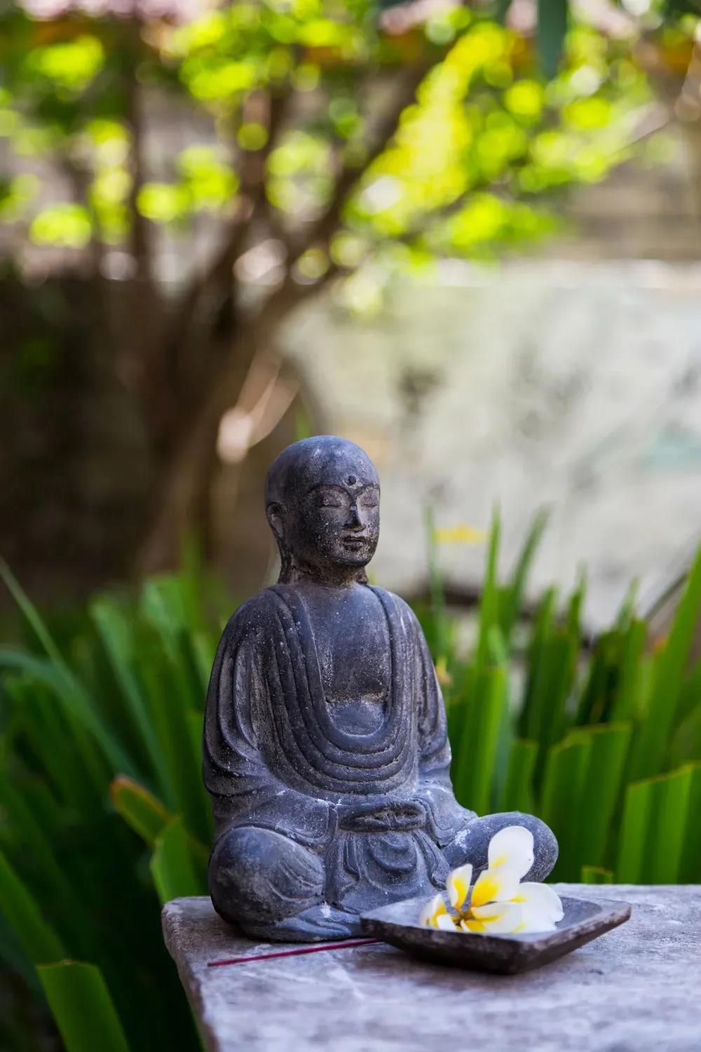 �ܶ������Ϊʲô�ò������ã�