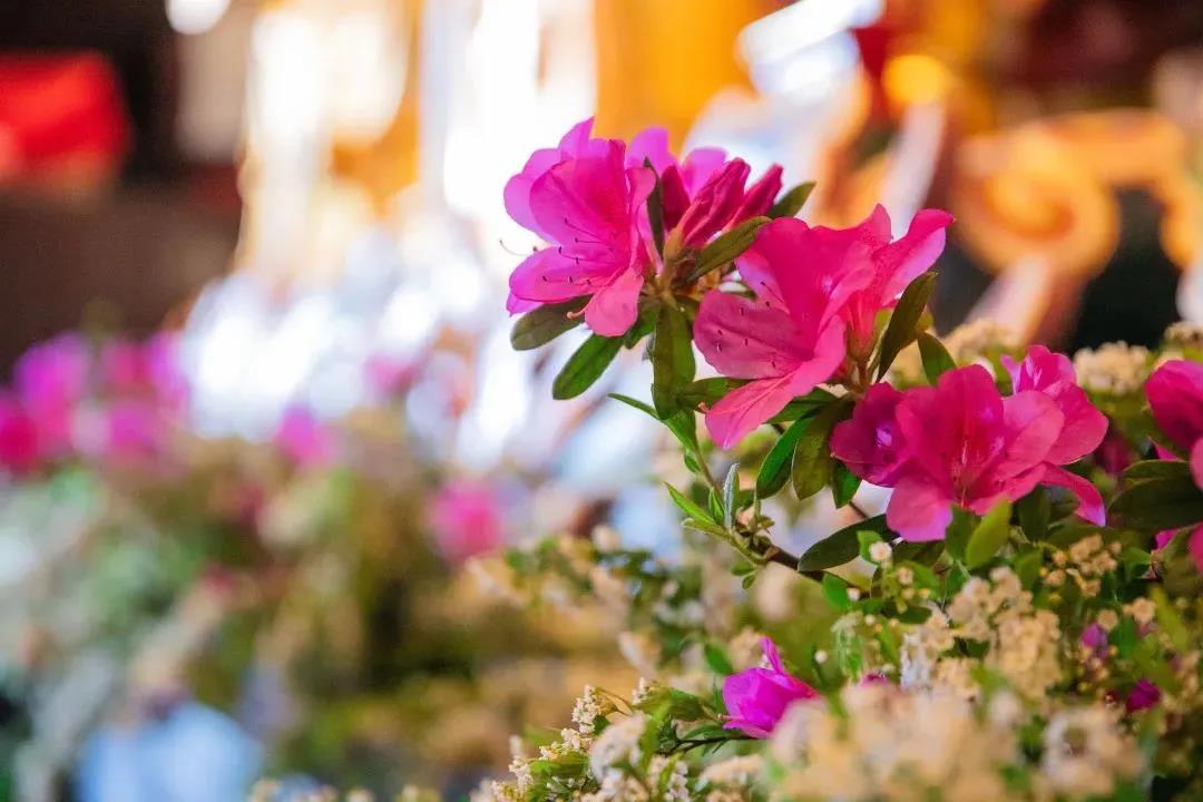 ѧ�������ŵ���Ҫ�����Լ������ǲ���һ����ʵ���������ˣ�