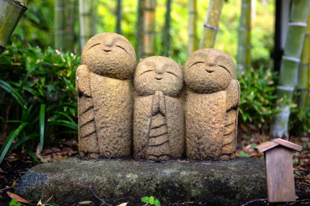 ��ļ�ͥ������ĵ�������Ĺ��������������̳�ǣ�