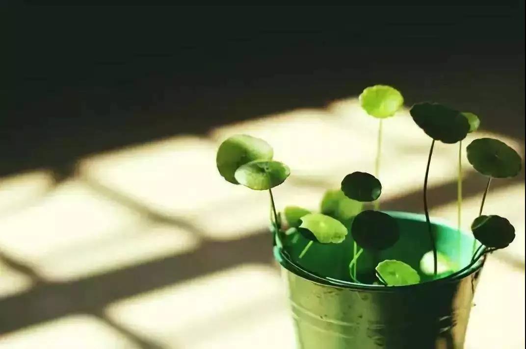 ѧ��·�ϵ���Щ���壬�����ȥ����